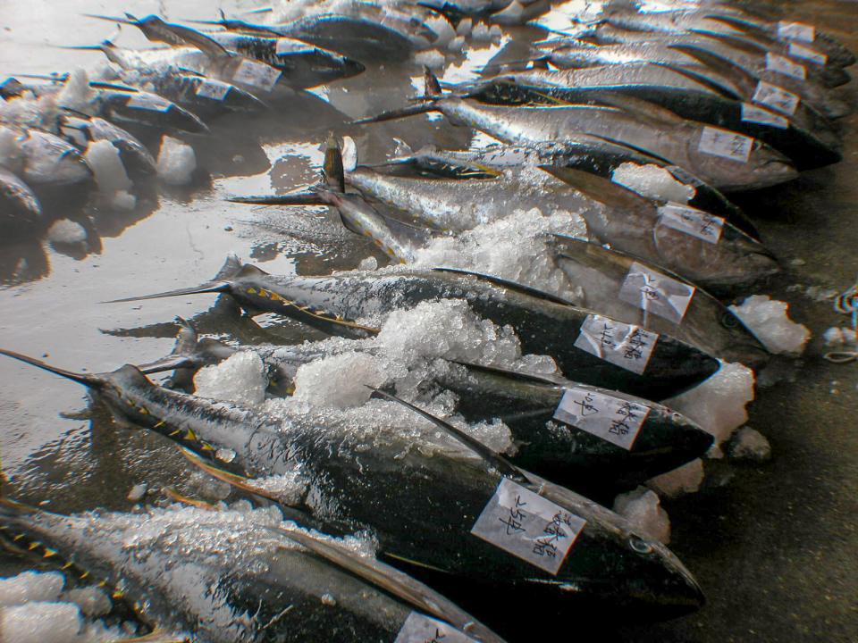 成功漁港:魚市場的魚貨